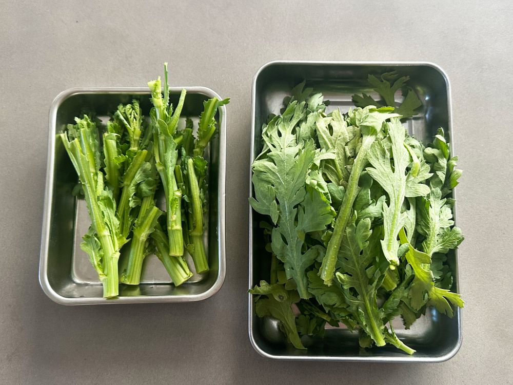recipe_image